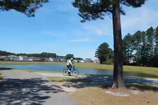 295 Shadybrook Dr Dr, Summerville, SC 29486 - Photo 25