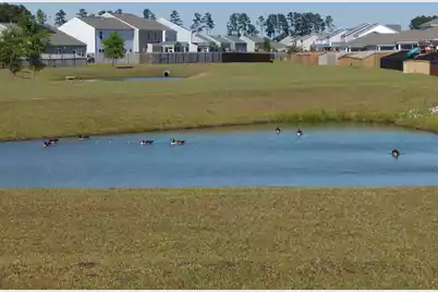 295 Shadybrook Dr. Drive, Summerville, SC 29486 - Photo 17