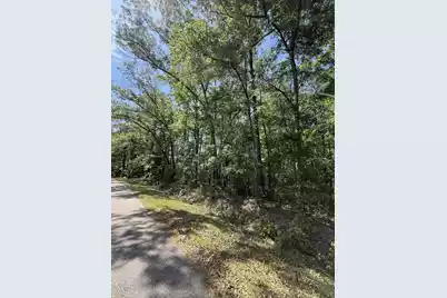 0 Moffett Road, Hollywood, SC 29449 - Photo 5