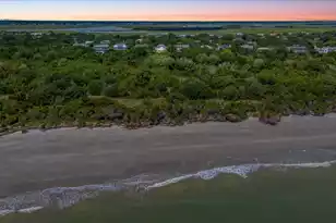 1619 Atlantic Ave, Sullivans Island, SC 29482 - Photo 63