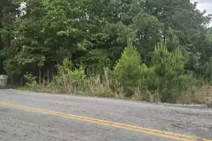 0 Pete Ewers Dr, Summerville, SC 29483 - Photo 5