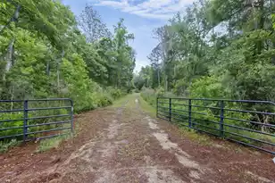 7855 Mary Seabrook Rd, Edisto Island, SC 29438 - Photo 33