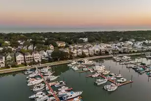 22 Morgans Cove, Isle Of Palms, SC 29451 - Photo 3
