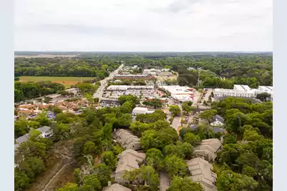 14 Wappoo Creek Place, Charleston, SC 29412 - Photo 51