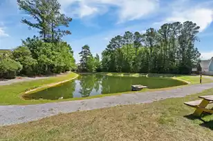 1679 Seabago Dr, Charleston, SC 29414 - Photo 29