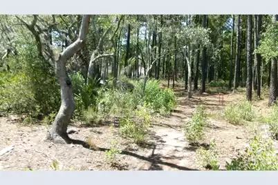 1108 Saint Thomas Island Drive, Wando, SC 29492 - Photo 17