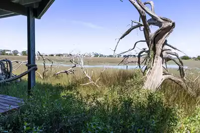 1205 Jungle Road, Edisto Island, SC 29438 - Photo 75