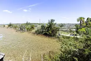 1205 Jungle Rd, Edisto Island, SC 29438 - Photo 63