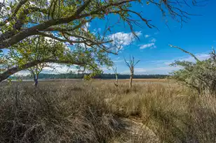 4107 Davison Rd, Ravenel, SC 29470 - Photo 31