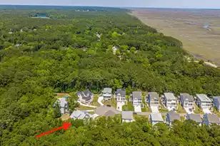1087 Capersview Ct, Awendaw, SC 29429 - Photo 63