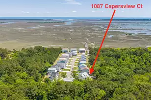 1087 Capersview Ct, Awendaw, SC 29429 - Photo 67