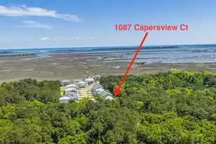 1087 Capersview Ct, Awendaw, SC 29429 - Photo 75