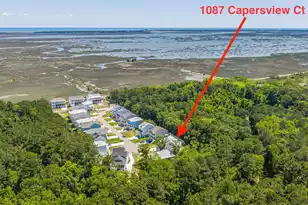 1087 Capersview Ct, Awendaw, SC 29429 - Photo 69