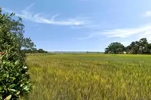 897 Kushiwah Creek Ct, Charleston, SC 29412 - Photo 69