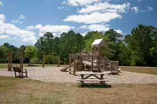 5060 Catfish Loop, Johns Island, SC 29455 - Photo 59