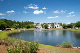 5060 Catfish Loop, Johns Island, SC 29455 - Photo 61