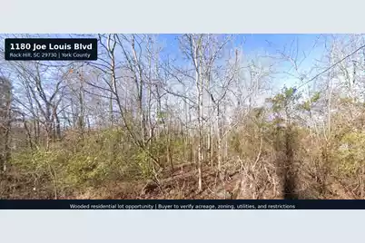 1180 Joe Louis Boulevard, Rock Hill, SC 29730 - Photo 3