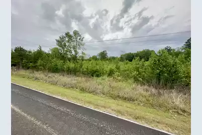 Tbd Chewning Rd, Pinewood, SC 29125 - Photo 1