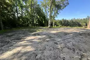 8725 Cottageville Hwy, Cottageville, SC 29435 - Photo 25