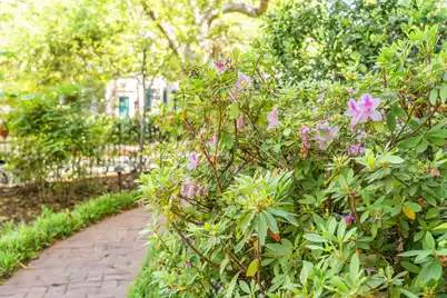 67 Warren Street, Charleston, SC 29403 - Photo 93