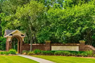 2736 Canebreak Ln, Mount Pleasant, SC 29466 - Photo 57