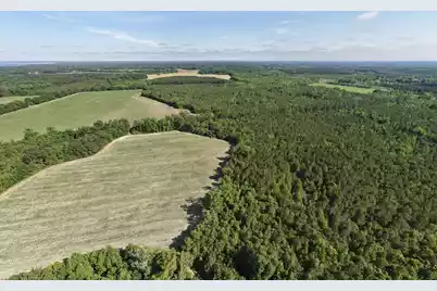 155-Ac Westberry Drive, Vance, SC 29163 - Photo 3