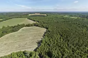 155-Ac Westberry Dr, Vance, SC 29163 - Photo 3
