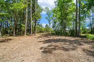 4663 Causey Pond Rd, Awendaw, SC 29429 - Photo 63