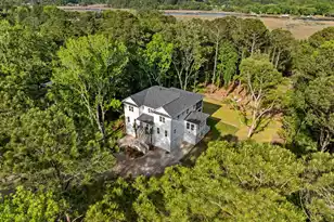 4663 Causey Pond Rd, Awendaw, SC 29429 - Photo 69