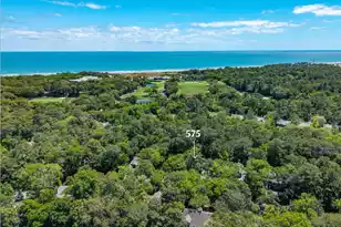 575 Oyster Rake, Kiawah Island, SC 29455 - Photo 45