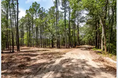 10260 Highway 17 N, McClellanville, SC 29458 - Photo 21