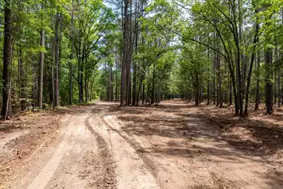 10260 Highway 17 N, McClellanville, SC 29458 - Photo 5