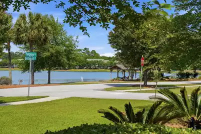 1823 Brittlebush Lane, Johns Island, SC 29455 - Photo 57