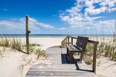 287 Pelican Flight Drive #Lot 14, Dewees Island, SC 29451 - Photo 13