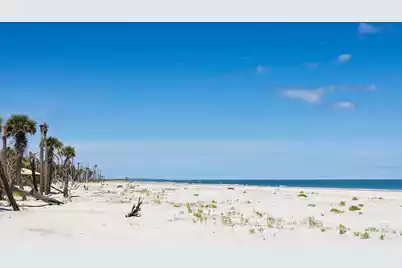 287 Pelican Flight Drive #Lot 14, Dewees Island, SC 29451 - Photo 15