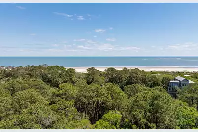 287 Pelican Flight Drive #Lot 14, Dewees Island, SC 29451 - Photo 7