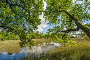130 River Landing Dr, Charleston, SC 29492 - Photo 19