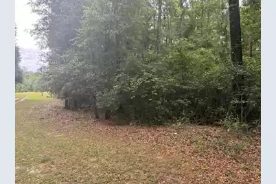 0 Joyous Way, Moncks Corner, SC 29461 - Photo 5
