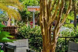 36 Harleston Pl, Charleston, SC 29401 - Photo 73
