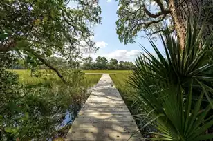 882 Tupelo Bay Dr, Mount Pleasant, SC 29464 - Photo 51