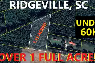 0 Way Hall Ln, Ridgeville, SC 29472 - Photo 1