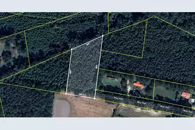 0 Way Hall Lane, Ridgeville, SC 29472 - Photo 5