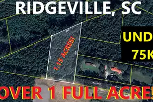 0 Way Hall Ln, Ridgeville, SC 29472 - Photo 1