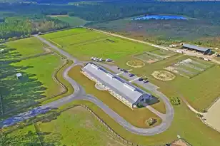 4282 Misty Holw Ln, Ravenel, SC 29470 - Photo 31