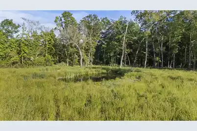 5339 Highway 162 S, Hollywood, SC 29449 - Photo 5