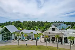 424 Kandinsky St, Charleston, SC 29492 - Photo 59