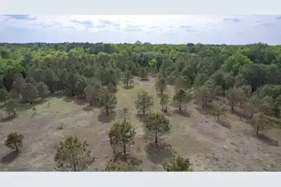 06 Pompey Road, Manning, SC 29102 - Photo 35