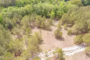 06 Pompey Rd, Manning, SC 29102 - Photo 25