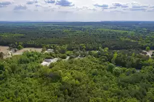 06 Pompey Rd, Manning, SC 29102 - Photo 37
