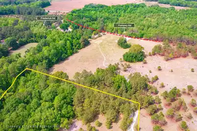06 Pompey Road, Manning, SC 29102 - Photo 5